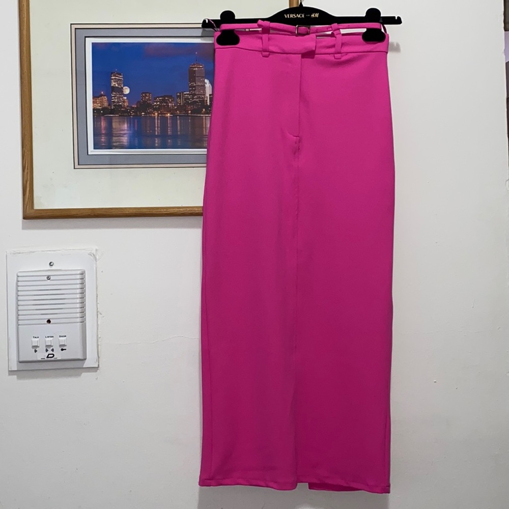 Zara Midi/Pencil Skirt
